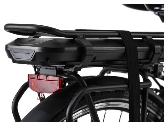 Vélo électrique femme aluminium Adore Versailles 28  E-Bike noir-vert 250 Watt Li-Ion 36 V/10 4 Ah 7 vitesses