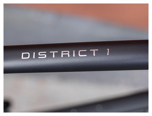 Bicicletta da città Trek District 1 Equiped Shimano Nexus 7V Matte Dnister Black 2023