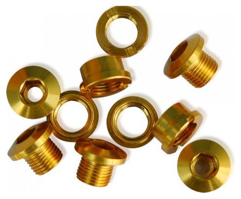 ICE Set of 5 Chainring bolt R-BOLT 6.5 mm Gold