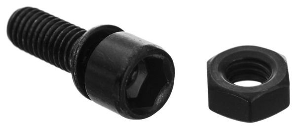 BSD Frame Integrated Seat Clamp Screw