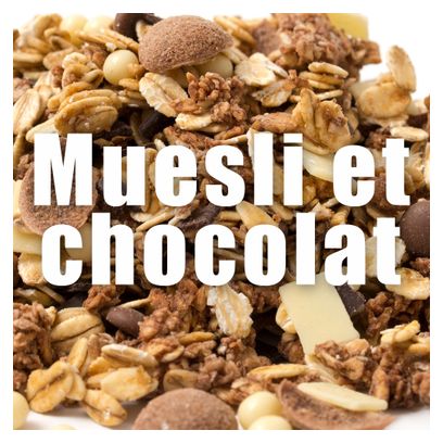 Bebida energética OVERSTIMS SPORDEJ Muesli Chocolate 700g