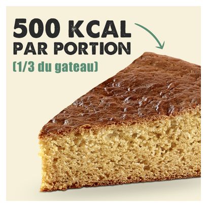 Gâteau Energétique Overstims Gatosport Brownie - Noix de pécan 400g
