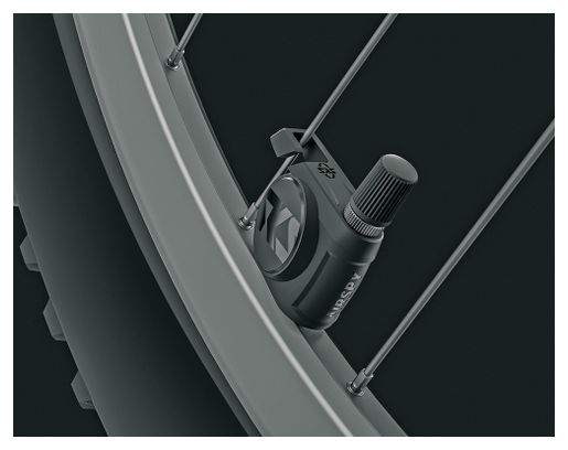 Válvulas sensores de presión SKS Airspy Schräder(X2)
