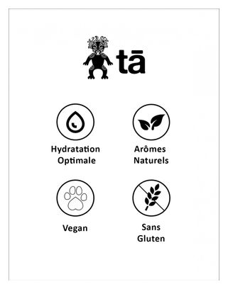 12 TA Energy Hydration Tabs Fresh Kiwi