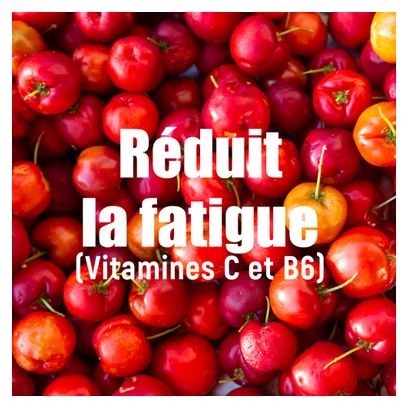 OVERSTIMS Malto Antioxydant Red Fruits 2kg
