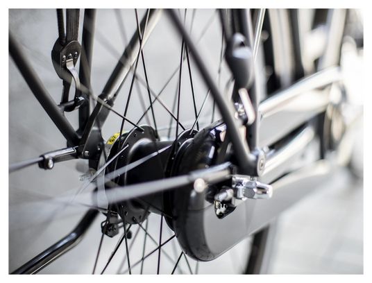 Bicicletta da città attrezzata Trek District 2 Lowstep Shimano Nexus 7V Lithium Grey 2023