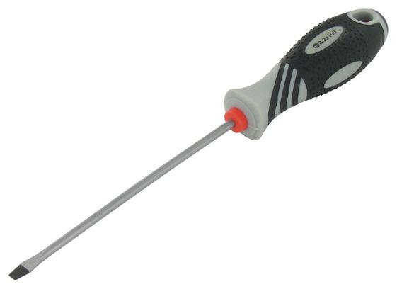 VAR Professional flat blade screwdriver - 4x100 mm