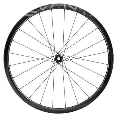 Campagnolo Levante 700 mm Wielset | 12x100 - 12x142 mm | Center Lock | 2022