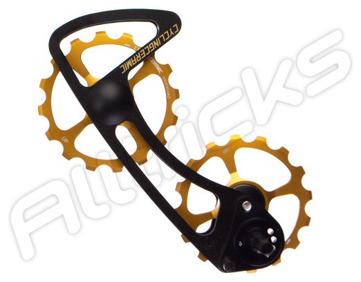 Cycling Ceramic Chappe Sram only Red eTap Gold