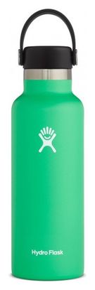 Bouteille Hydro Flask Standard Flex Cap 530 ml Vert Menthe
