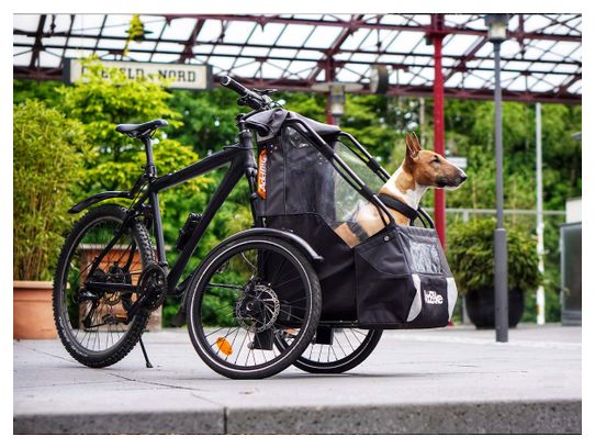 Lastenrad-Umbausatz - Transport  von hunden