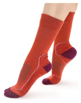 Icebreaker Hike+ Women's Merino Socks Orange/Purple