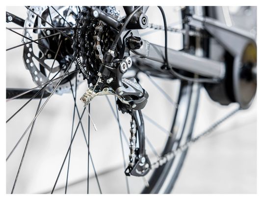 Vélo de Ville Électrique Trek Verve+ 1 Lowstep DT Shimano Tourney/Altus 8V 500 Wh Gris 2023
