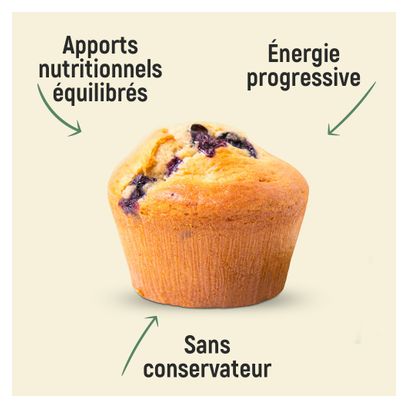 OVERSTIMS GATOSPORT Energy Cake Muffins Blueberry 400g