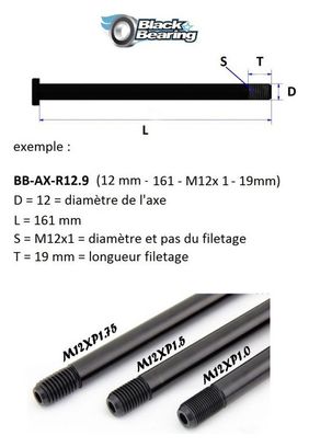 Axe de roue Blackbearing - R12.6QR - (12 mm - 179 - M12x1 5