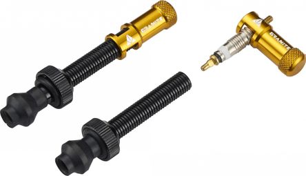 Pair of Tubeless Granite Design Juicy Nipple Valves 60 mm with Gold Shell Removal Plugs