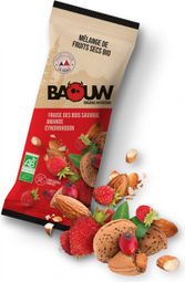 Baouw Organic Dried Fruits Mix Strawberry/Amond/Roseberry 30g