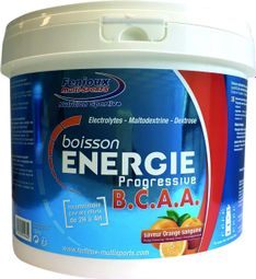 Boisson énergétique Fenioux Energie Progressive BCAA Orange Sanguine 1 5kg