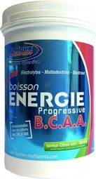 Boisson énergétique Fenioux Energie Progressive BCAA Citron Vert Menthe 600g