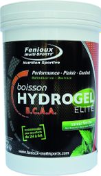 Energy Drink Fenioux Hydrogel BCAA Elite Mint 600g