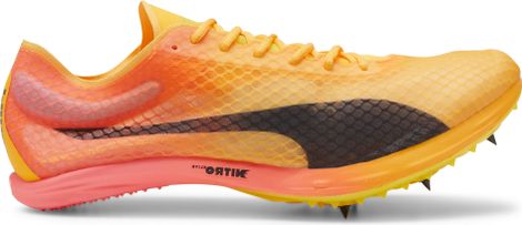 Chaussures Athlétisme Puma evoSPEED Distance Nitro Elite+ 4 Orange Rose Homme