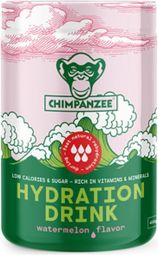Energy drink CHIMPANZEE Hydration Drink Watermelon 450g / 30 x 500 ml