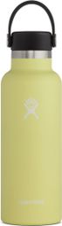 Gourde Isotherme Hydro Flask Standard Mouth With SFC 532 ml Jaune Ananas