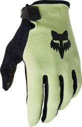Fox Ranger Handschoenen Groen