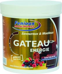 Energy Cake Fenioux Energie Red Fruits 400g