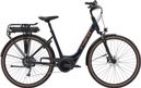 Vélo de Ville Électrique Trek Verve+ 2 Lowstep Shimano Altus 9V 500 Wh Azure 2023