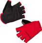 EnduraXtract Mitts Gloves Red