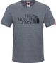 Camiseta THE NORTH FACE Easy Grey