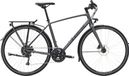 Vélo de Ville Trek FX 2 Disc EQ Shimano Acera/Altus 9V 700 mm Gris Lithium 2023