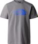 T-Shirt Lifestyle The North Face Easy Gris